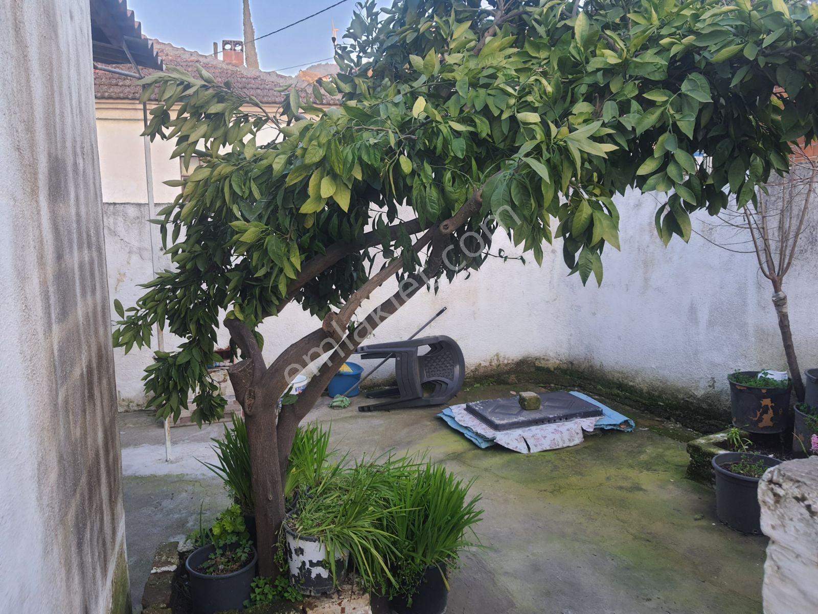 Kirazlı Köyünde Satılık Köy Evi - Görsel 19