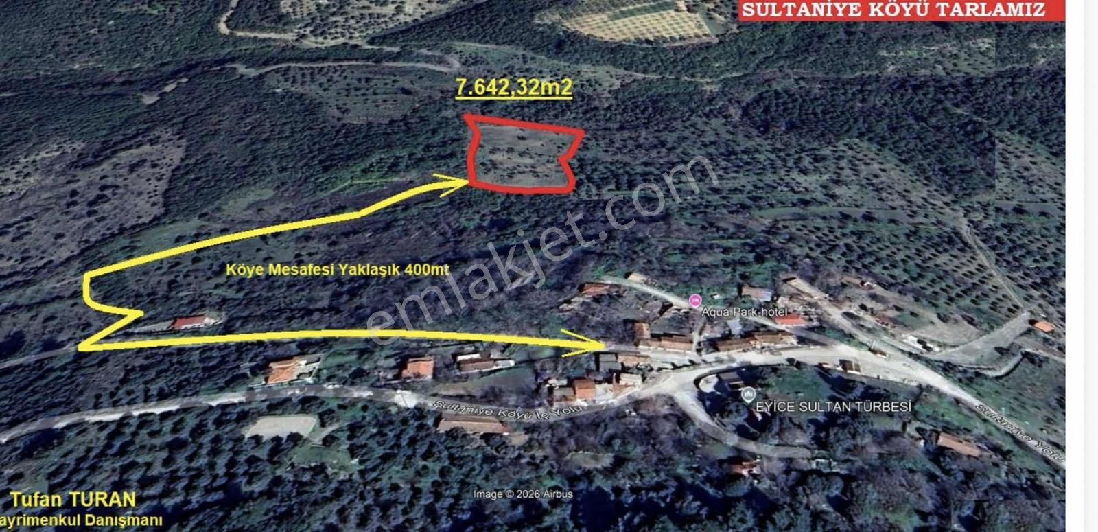 Selçuk Sultaniye Köyü Tek Tapu 7642 M2 Zeytinlik