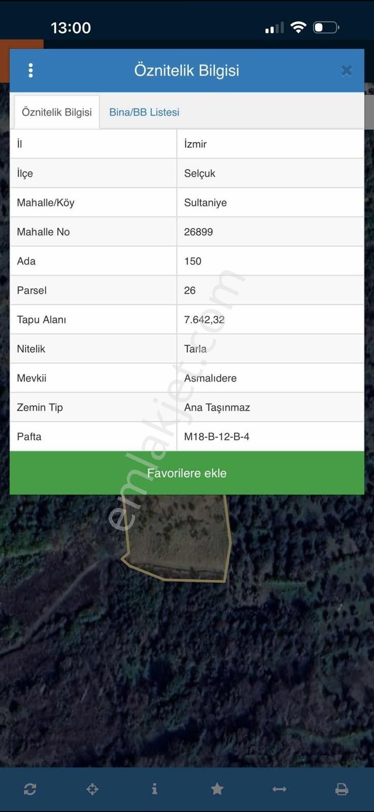 Selçuk Sultaniye Köyü Tek Tapu 7642 M2 Zeytinlik - Görsel 2