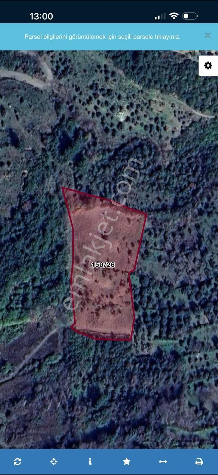 Selçuk Sultaniye Köyü Tek Tapu 7642 M2 Zeytinlik - Görsel 3