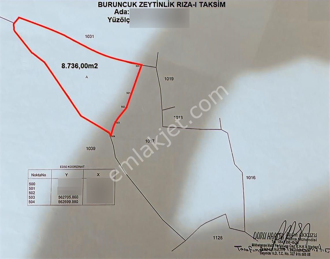 İzmir-bayındır-buruncuk Mahallesinde Satılık Zeytin Bahçesi - Görsel 7
