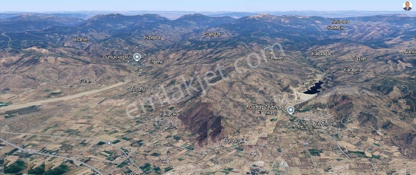 İzmir-bayındır-buruncuk Mahallesinde Satılık Zeytin Bahçesi