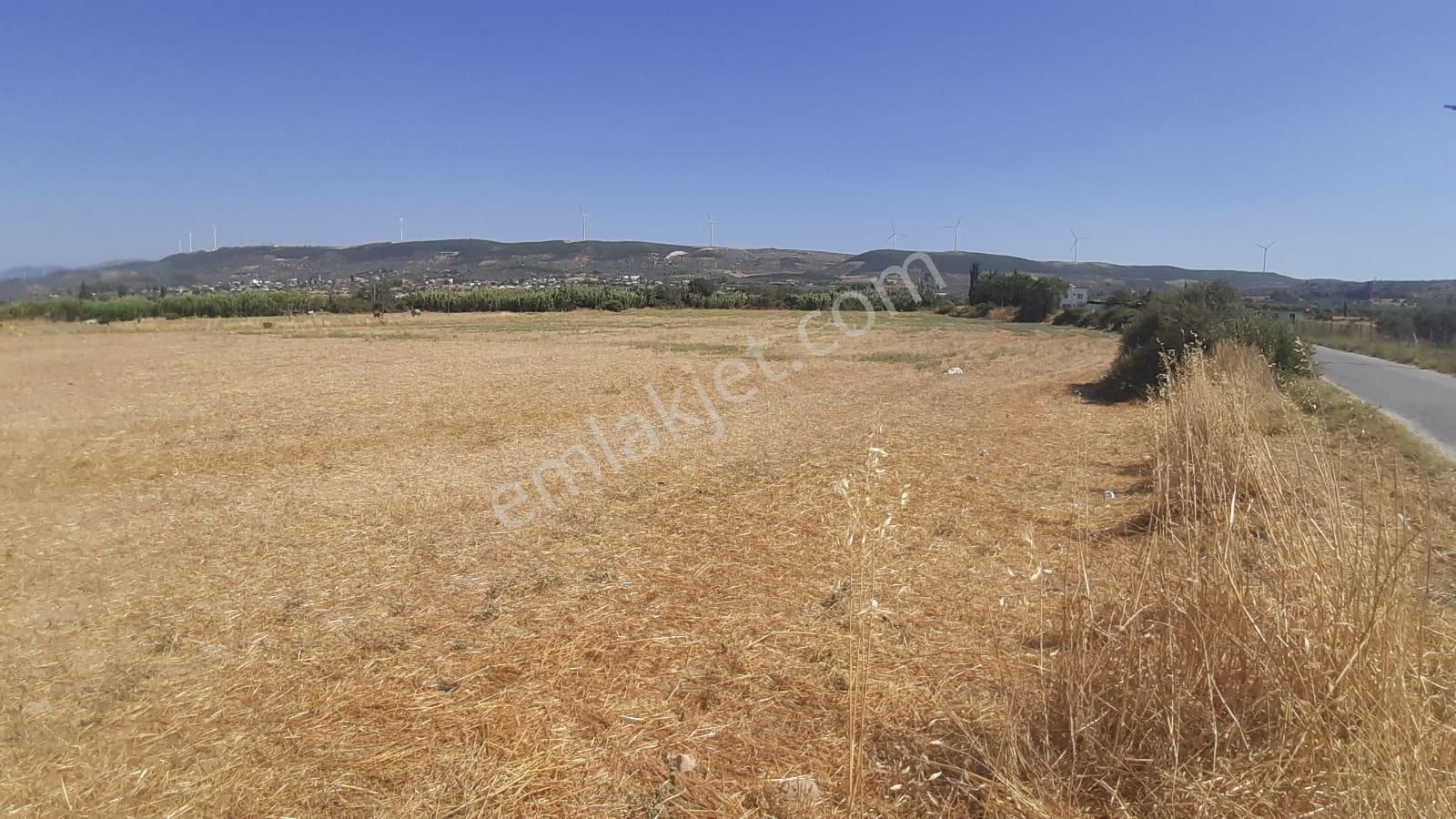 🌿 Dıdım Akköy Mahallesinde Göl Manzaralı Satılık Tarla 🌿