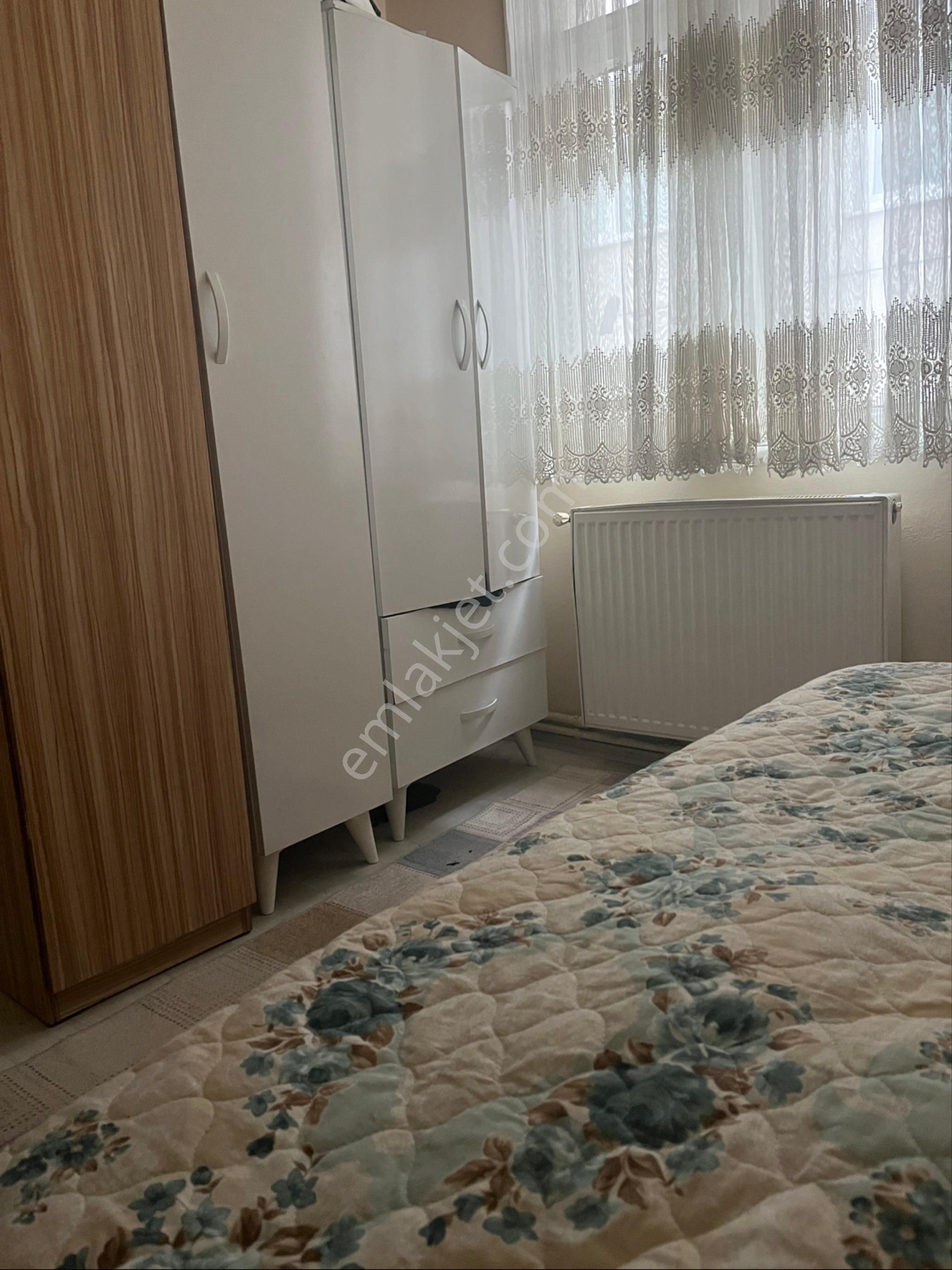 Ev Arkadaşı Arıyorum - Görsel 10