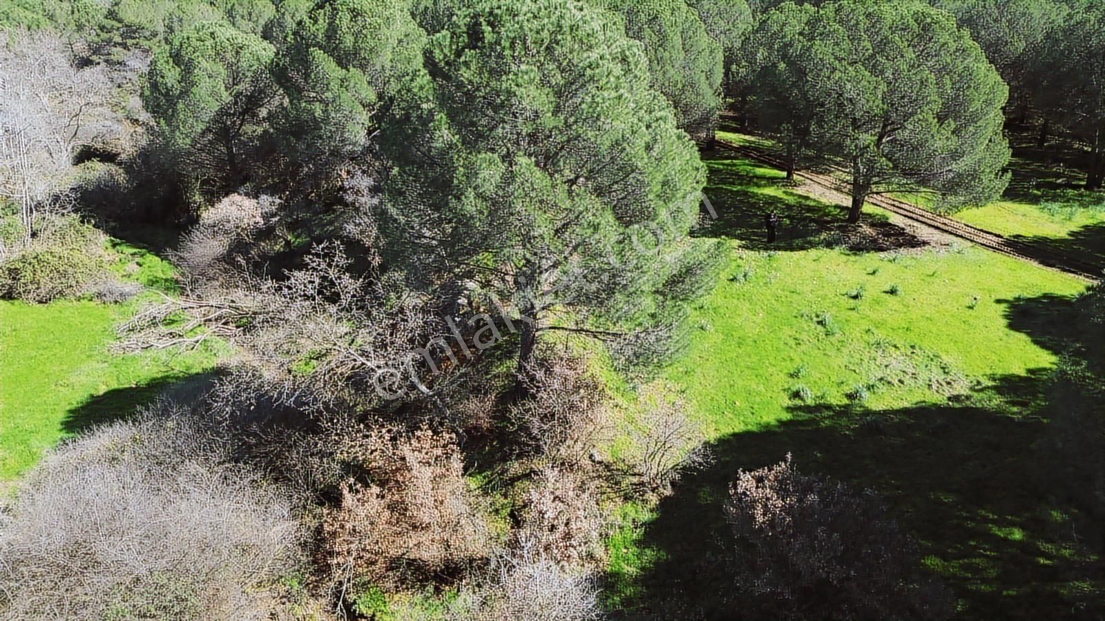Dikili Gökçeağılda Satılık 41 Dönüm Yatırımlık Tarla - Görsel 31