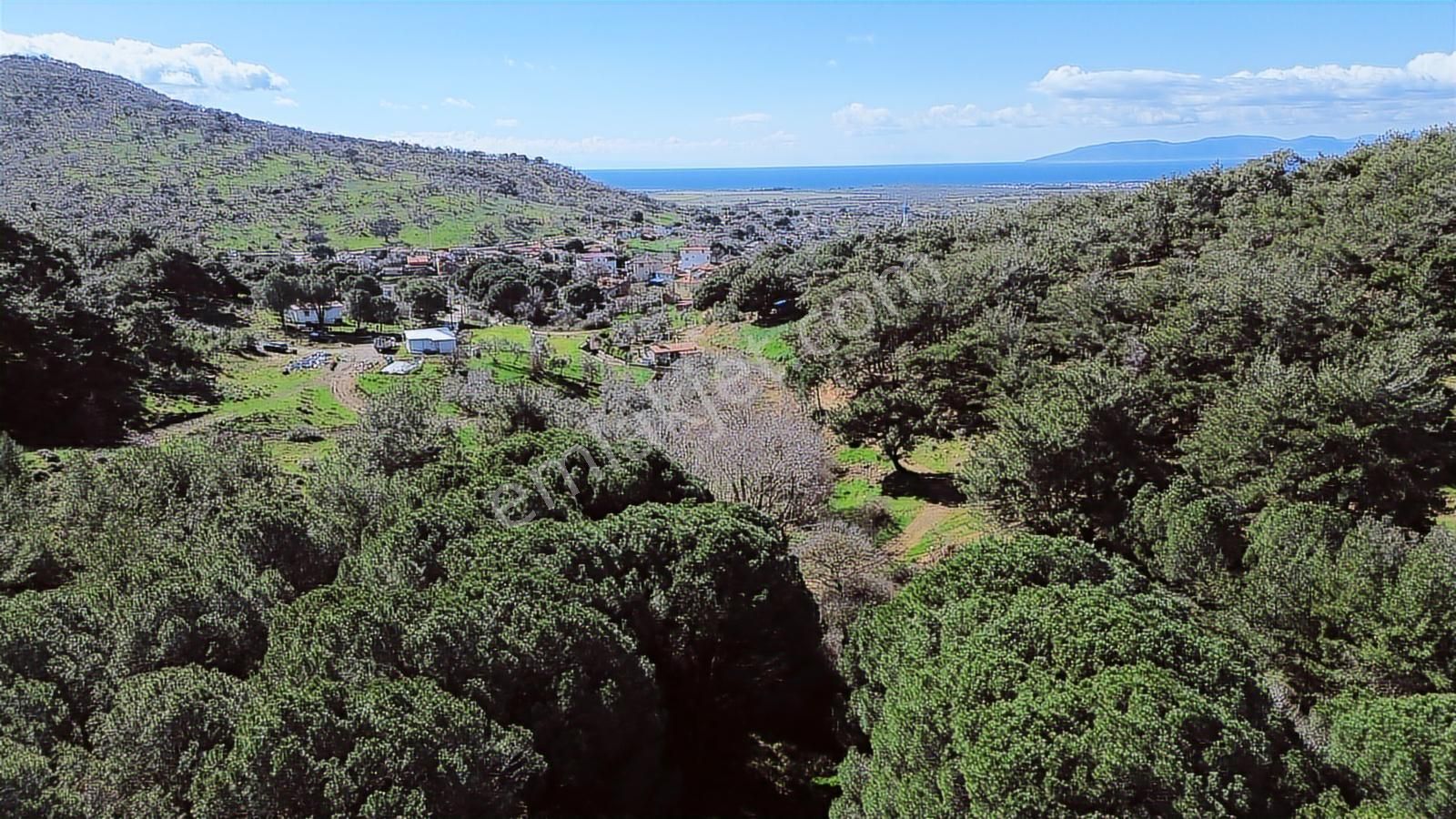 Dikili Gökçeağılda Satılık 41 Dönüm Yatırımlık Tarla