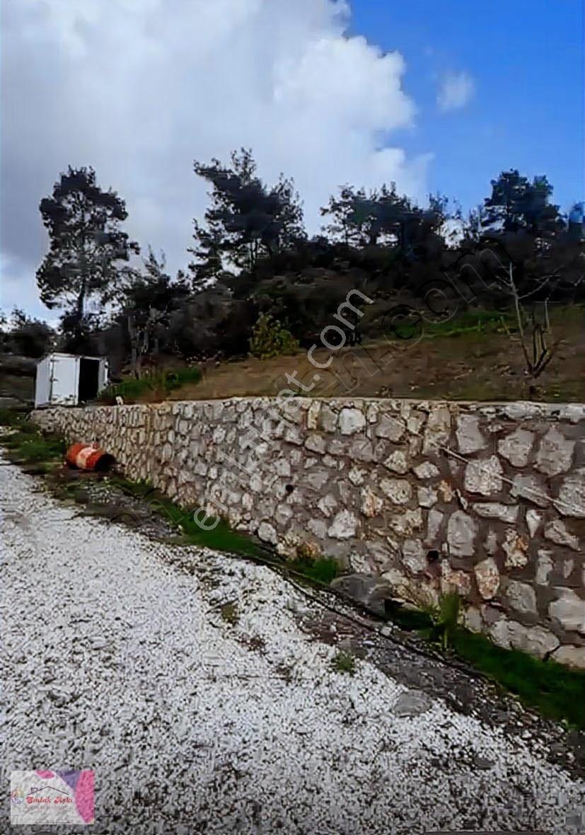 Kaçırılmaz Yatırım!!!olimpos'ta Denize 10 Km Tam Donanımlı Tesis - Görsel 23