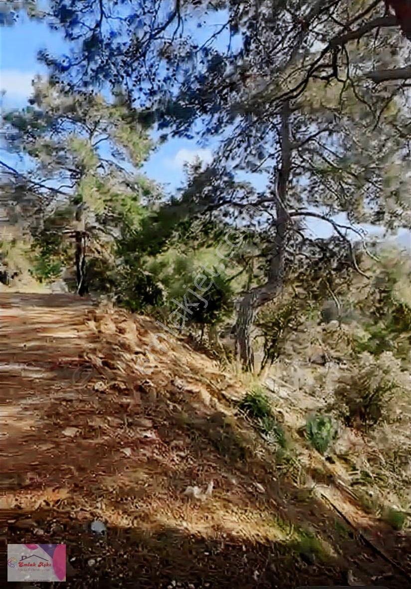 Kaçırılmaz Yatırım!!!olimpos'ta Denize 10 Km Tam Donanımlı Tesis - Görsel 28