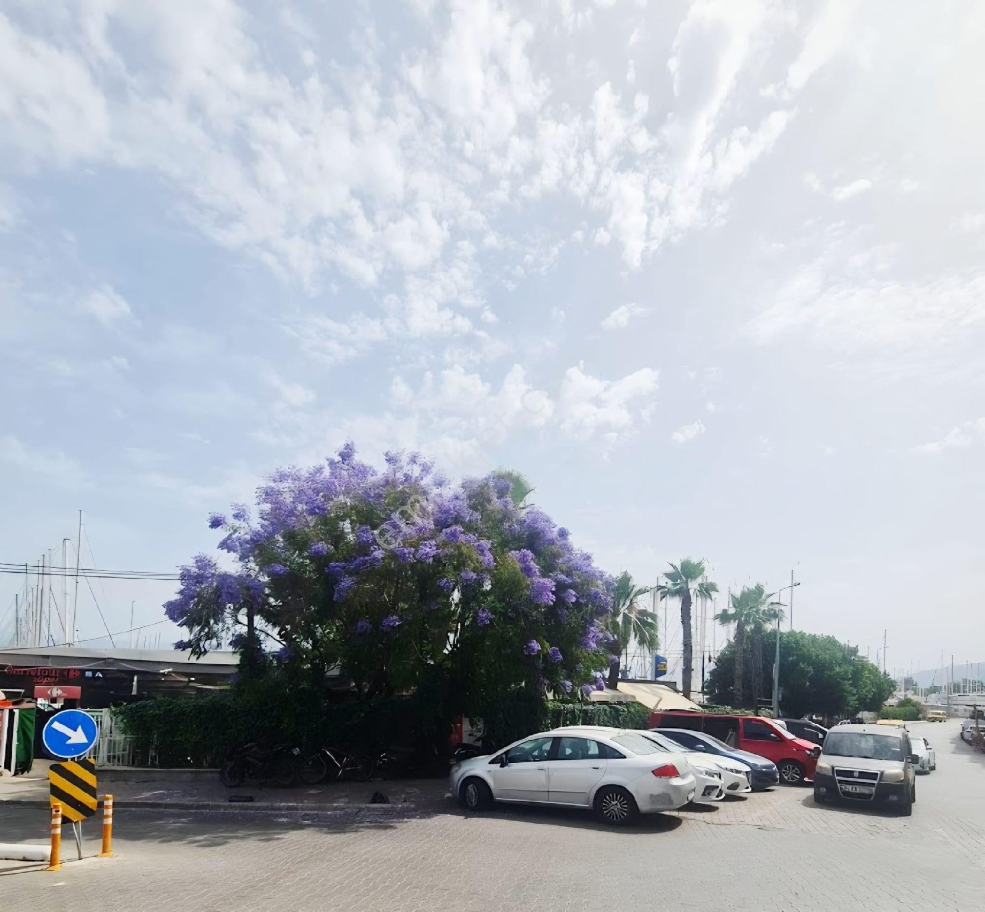 Muğla Fethiye Ece Marina Karşısı Cadde Üzeri - Görsel 11