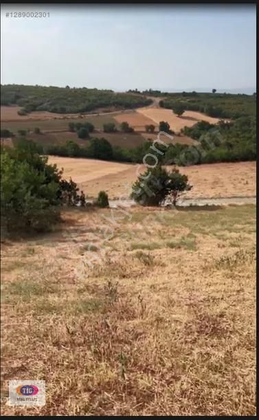Tek İşim Gayrimenkul'den Yenişehir De Satılık Tarla - Görsel 2
