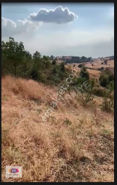 Tek İşim Gayrimenkul'den Yenişehir De Satılık Tarla - Görsel 4