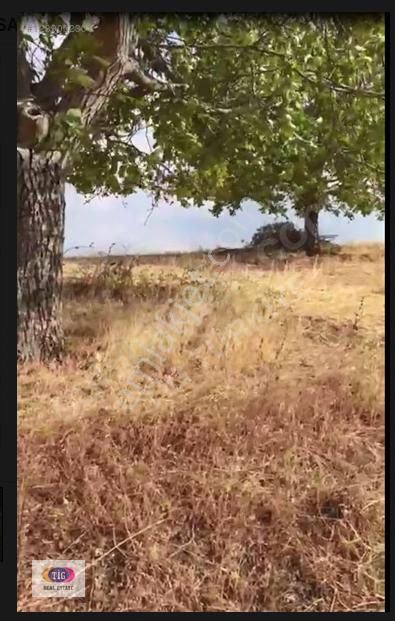 Tek İşim Gayrimenkul'den Yenişehir De Satılık Tarla - Görsel 5