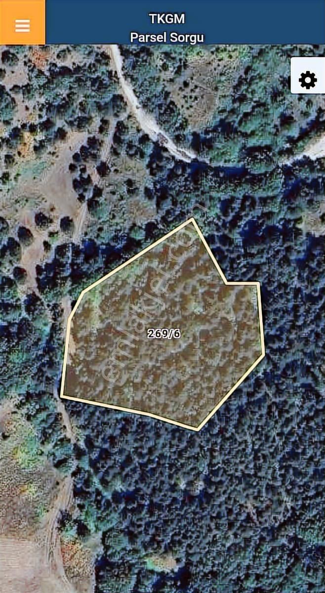 Bursa Gemlik Feyziye Köyü Satılık 6.975 Tl Tarla