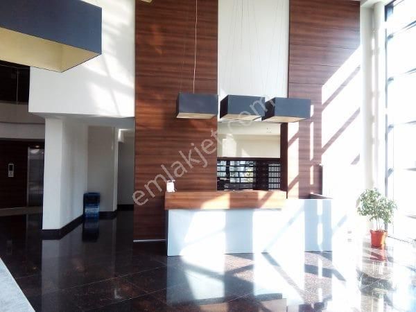 Mesa Kartall'da Orman Manzaralı Eşyalı Yüksek Kat 1+1 Kiralık - Görsel 6