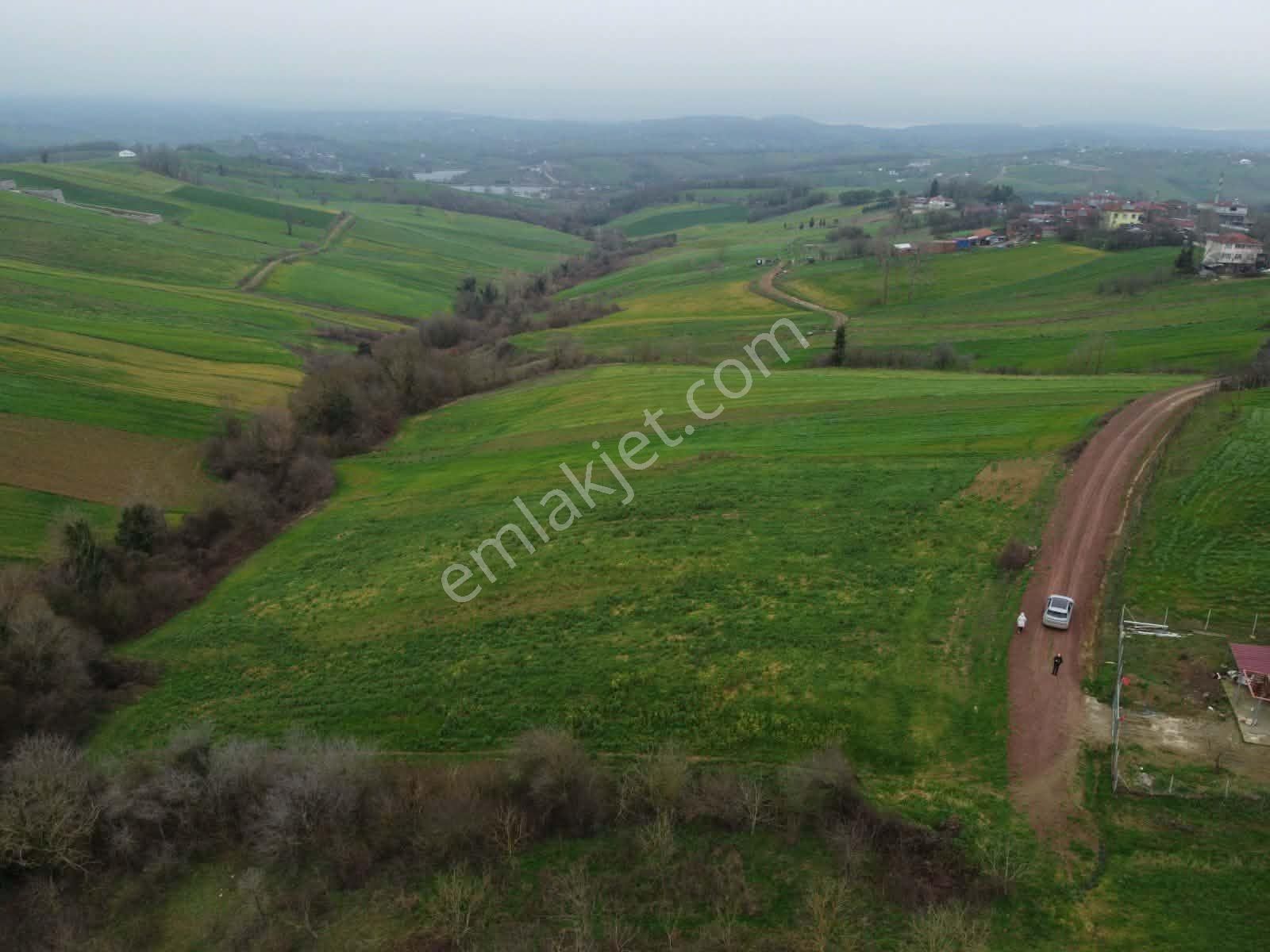Derince Geredeli Köyünde Köy İmarında Satılık 4007m2 Fırsa Tarla - Görsel 10