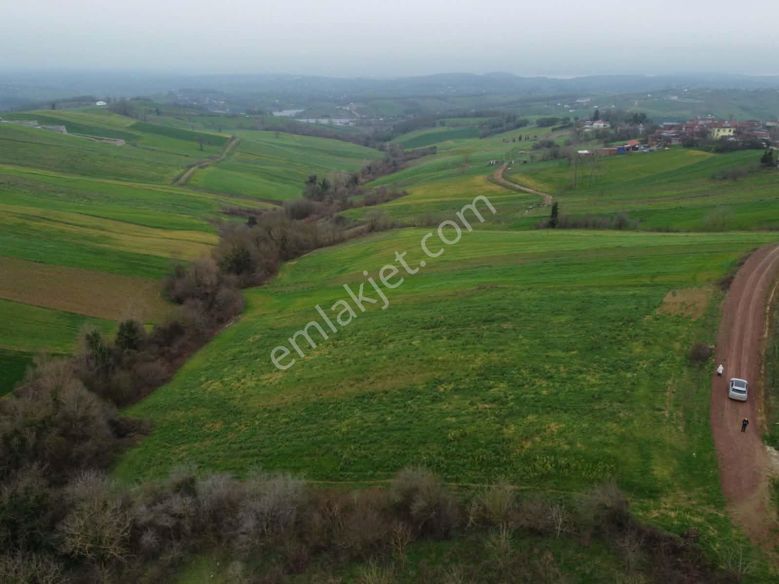 Derince Geredeli Köyünde Köy İmarında Satılık 4007m2 Fırsa Tarla - Görsel 13
