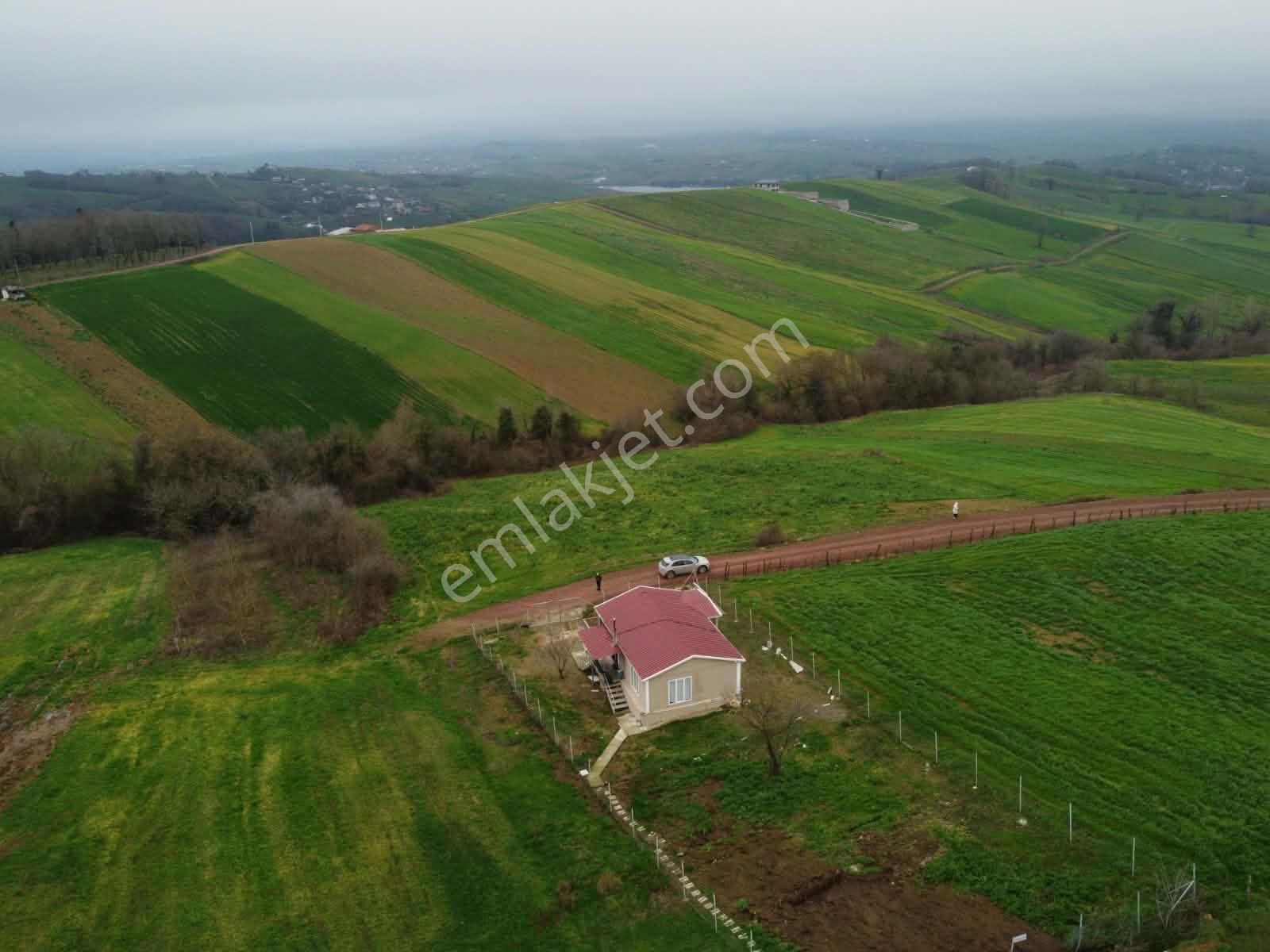 Derince Geredeli Köyünde Köy İmarında Satılık 4007m2 Fırsa Tarla - Görsel 20