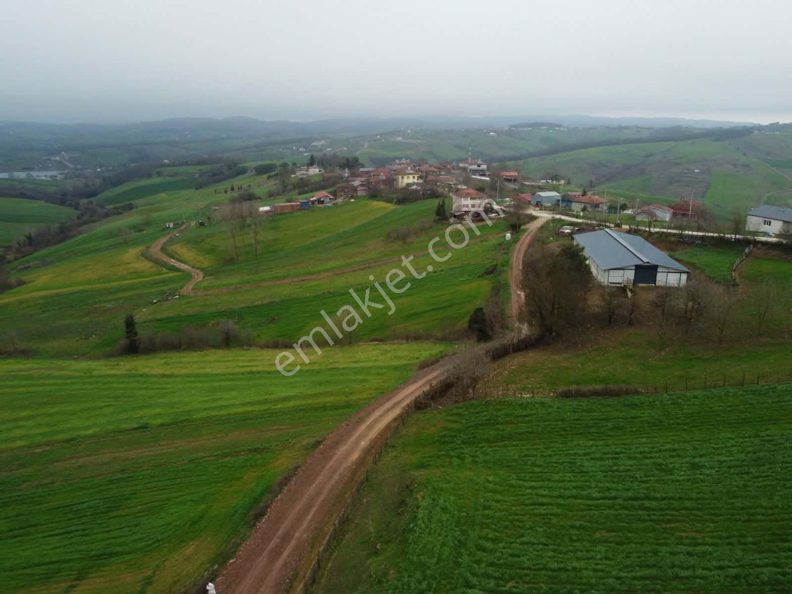 Derince Geredeli Köyünde Köy İmarında Satılık 4007m2 Fırsa Tarla - Görsel 16