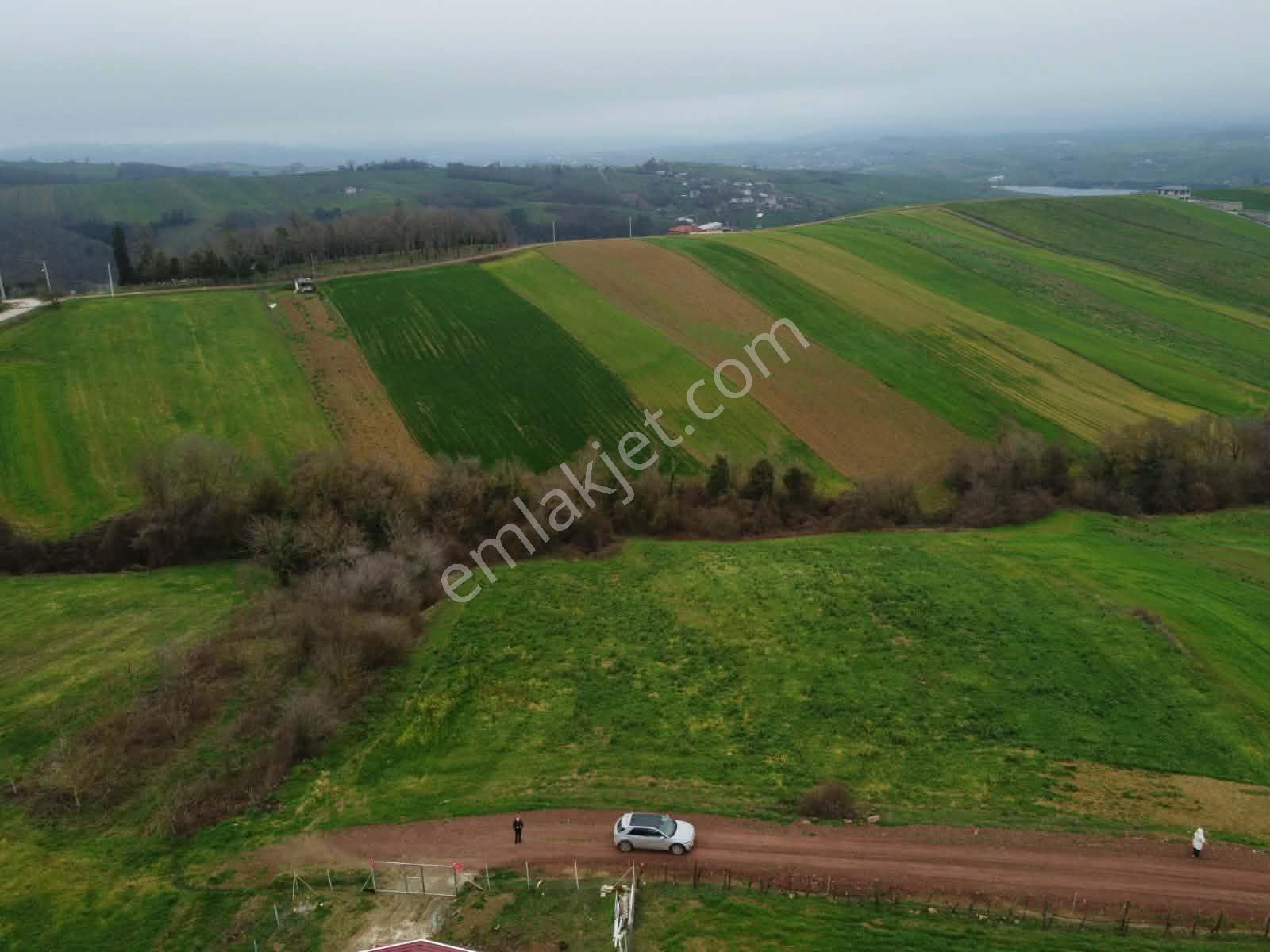 Derince Geredeli Köyünde Köy İmarında Satılık 4007m2 Fırsa Tarla - Görsel 18