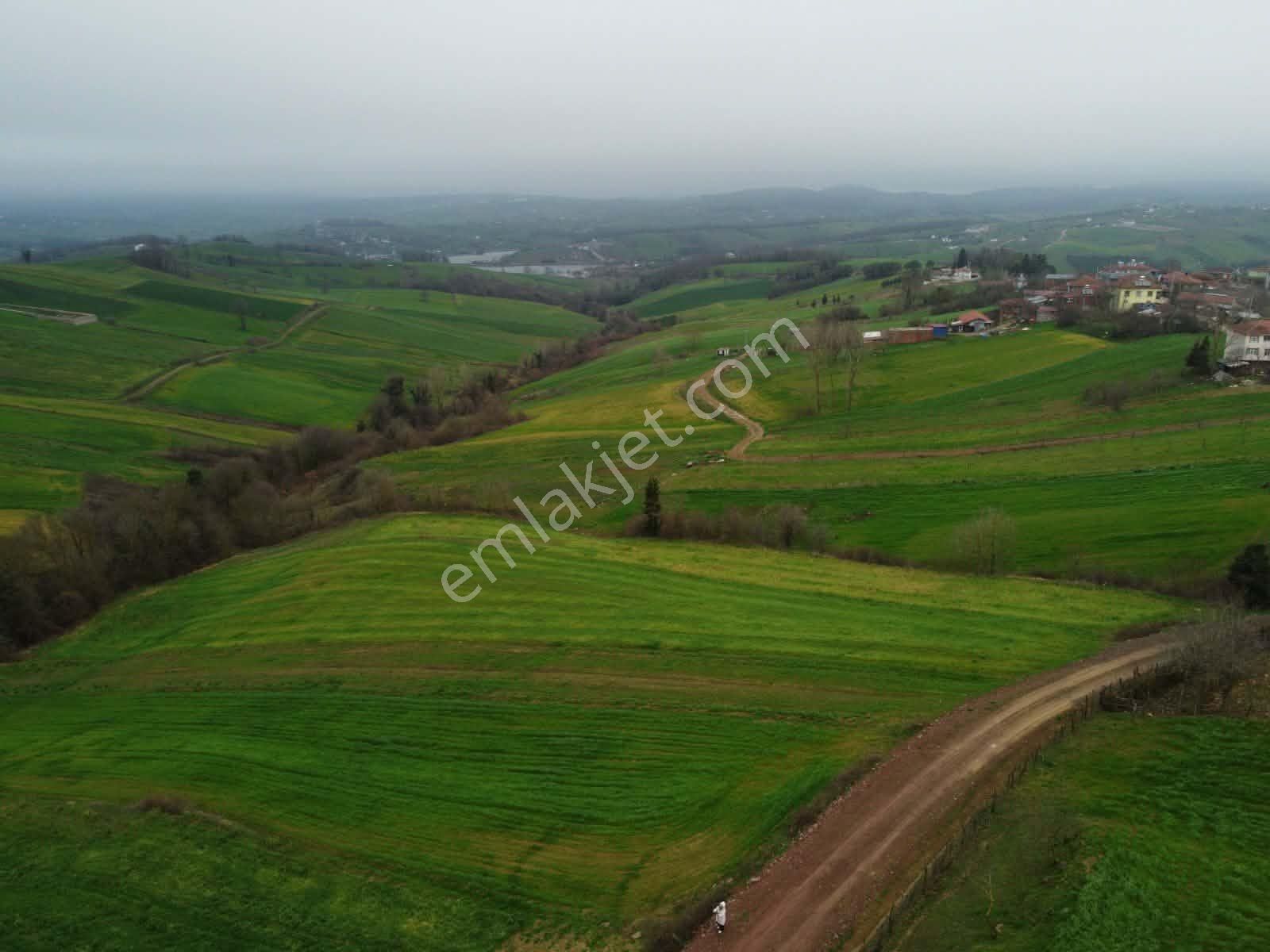 Derince Geredeli Köyünde Köy İmarında Satılık 4007m2 Fırsa Tarla - Görsel 9
