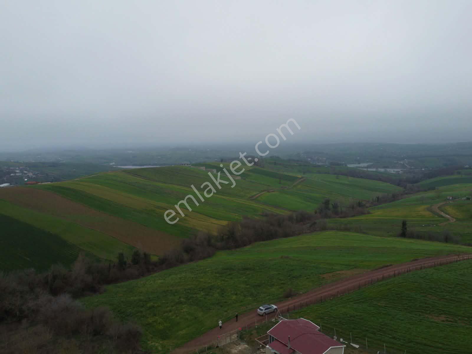 Derince Geredeli Köyünde Köy İmarında Satılık 4007m2 Fırsa Tarla - Görsel 15