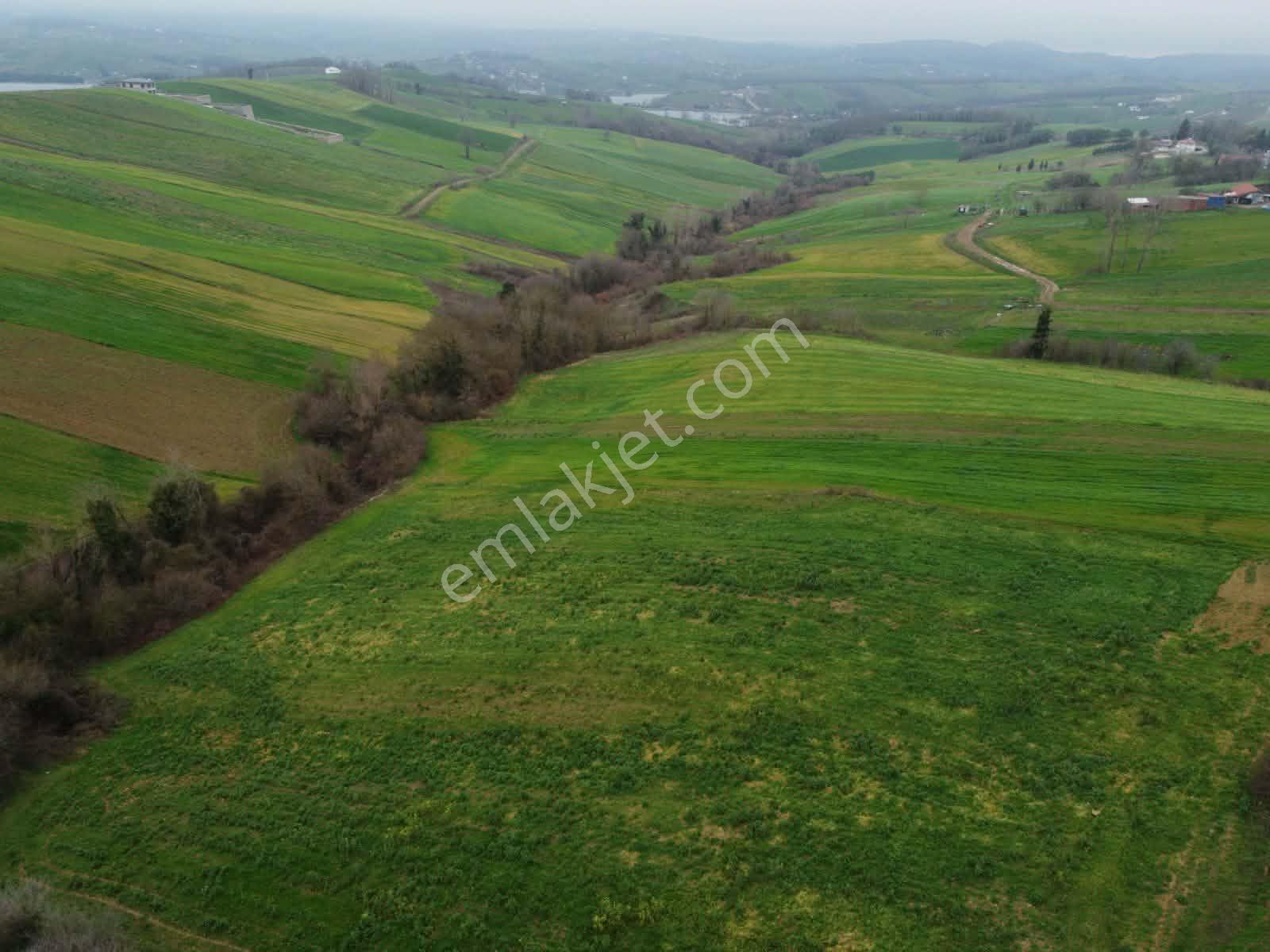 Derince Geredeli Köyünde Köy İmarında Satılık 4007m2 Fırsa Tarla - Görsel 12