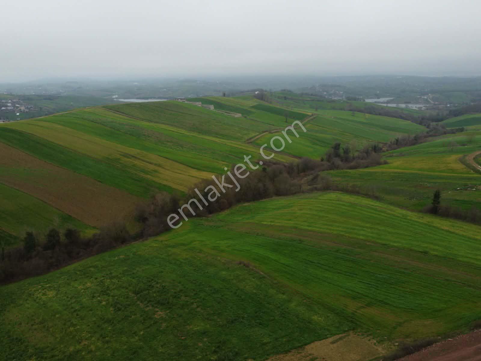 Derince Geredeli Köyünde Köy İmarında Satılık 4007m2 Fırsa Tarla - Görsel 22