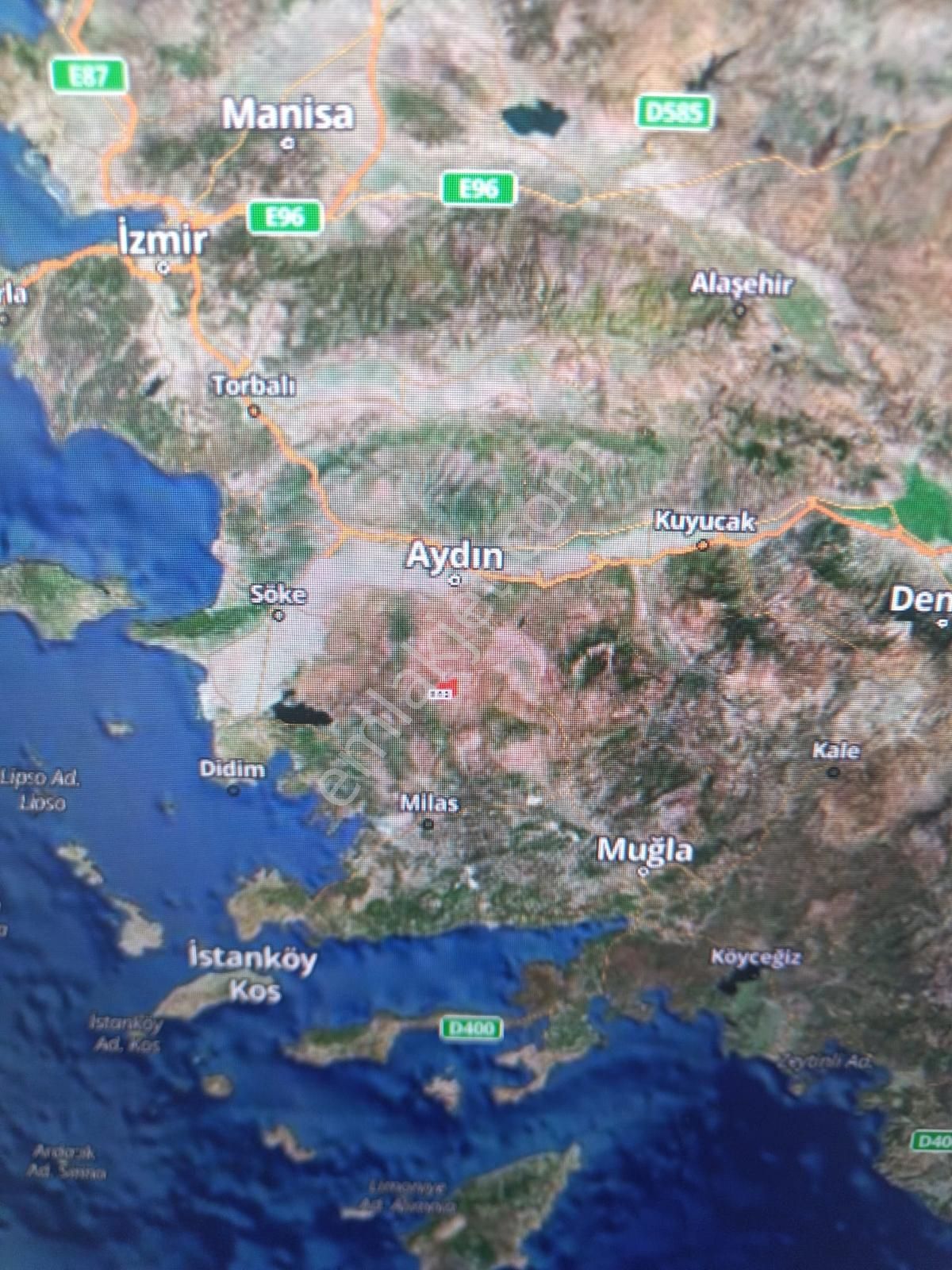 Aydın Karpuzlu'da Satılık Fırsat Zeytinlik - Görsel 7