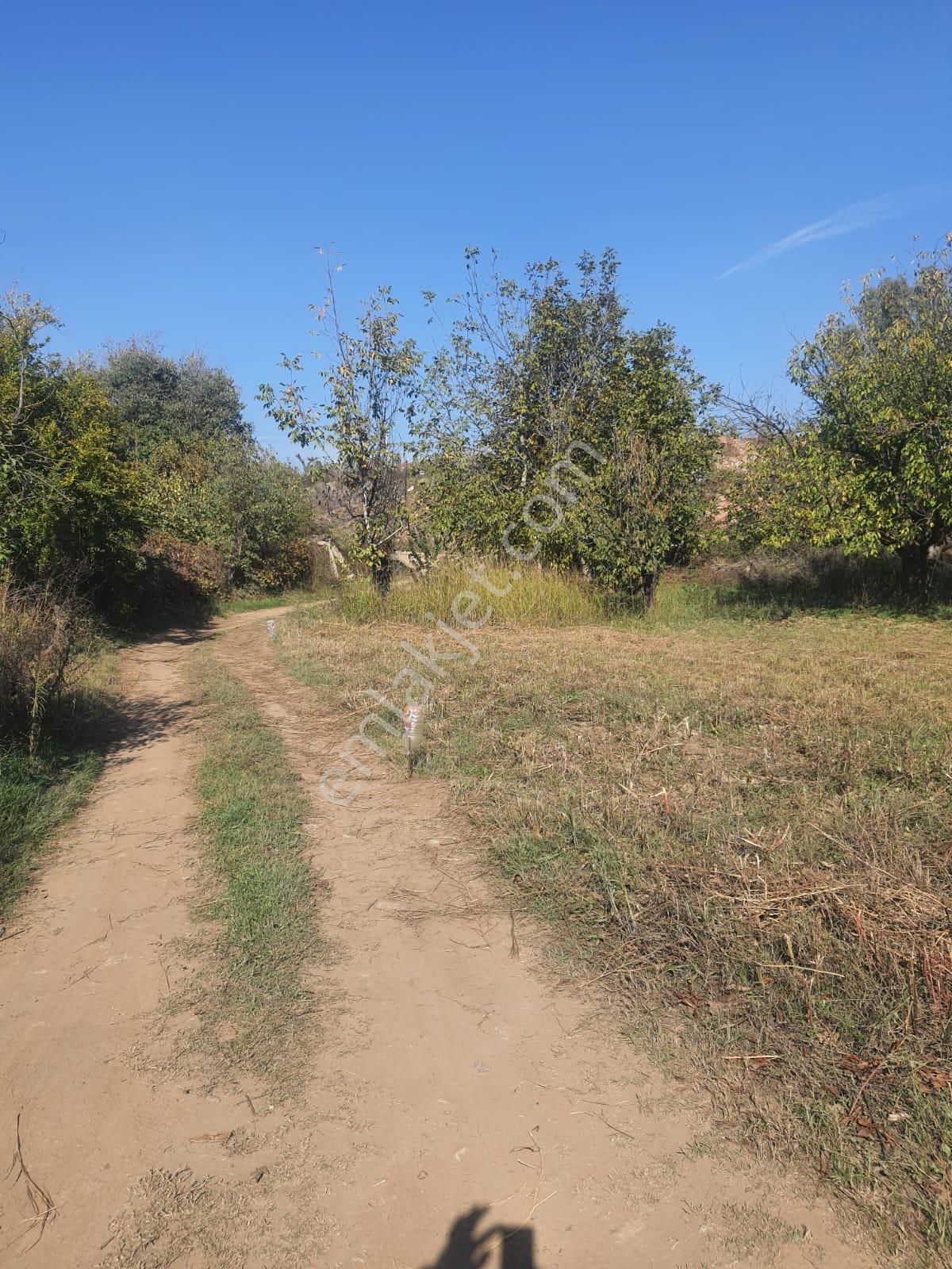 Gökçealan Köyü'nde 273m² Kiraz Ağaçlı Tarla - Görsel 5