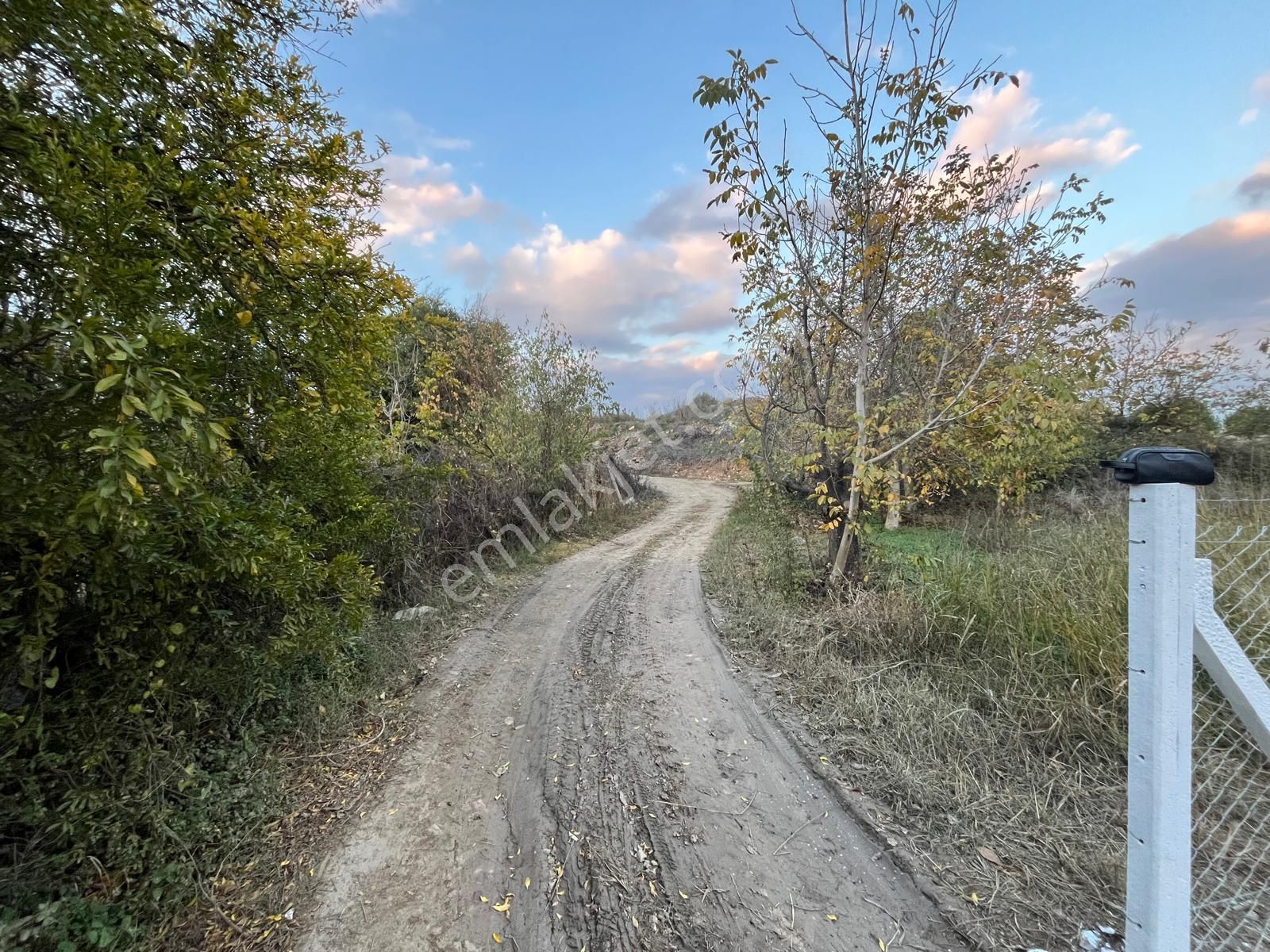 Gökçealan Köyü'nde 273m² Kiraz Ağaçlı Tarla - Görsel 24