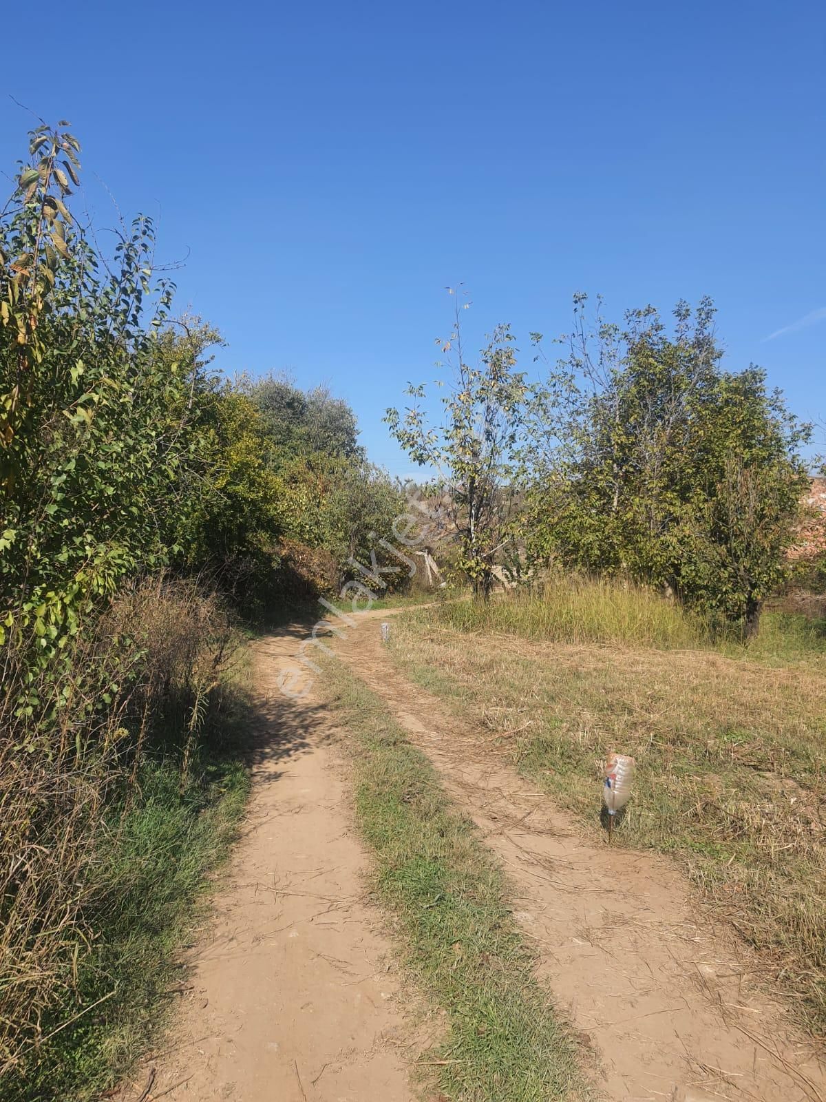 Gökçealan Köyü'nde 273m² Kiraz Ağaçlı Tarla - Görsel 10