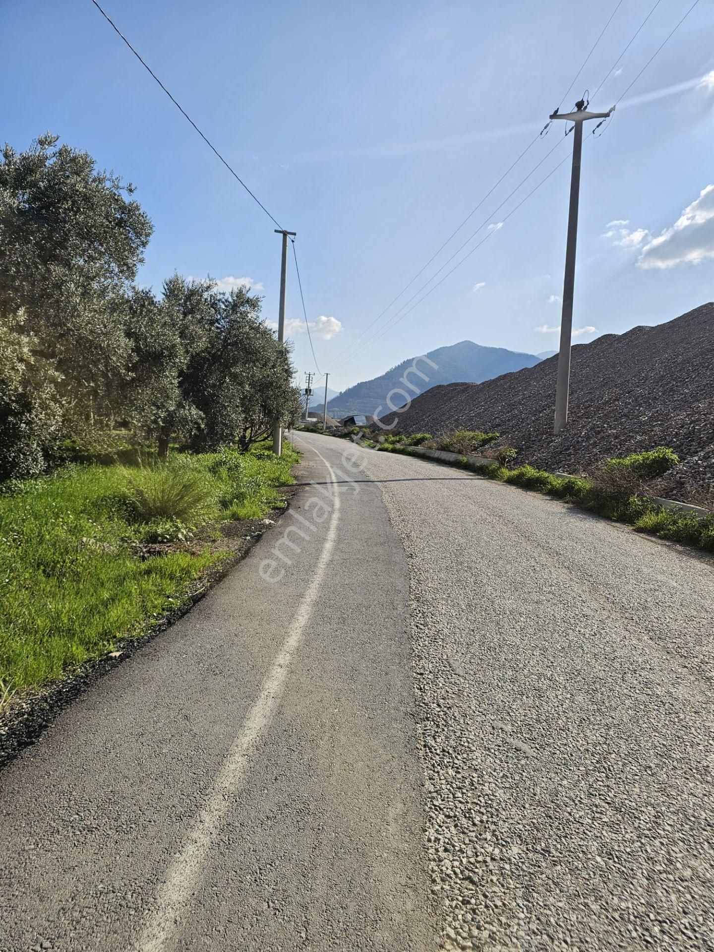 Satılık 2500m² Zeytin Bahçesi - Kemalpaşa, Yiğitler - Görsel 2