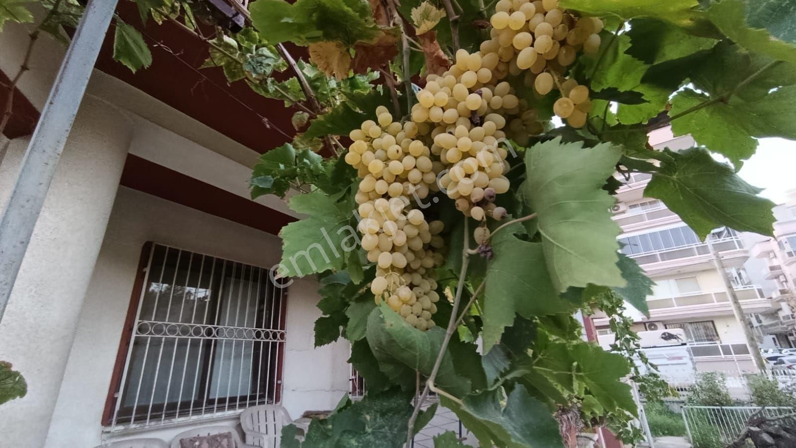 Müstakil Villa - Görsel 11