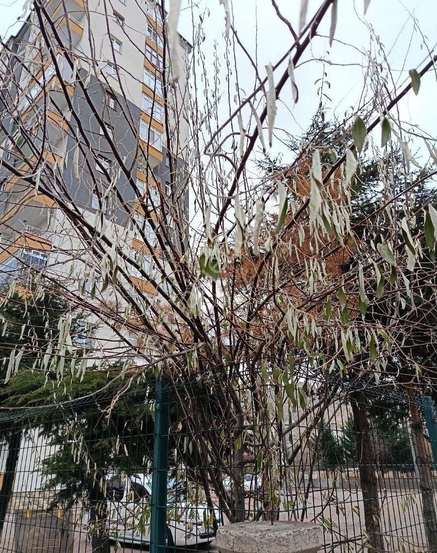 Satılık Daire Melıkgazı Altınoluk Ta - Görsel 27