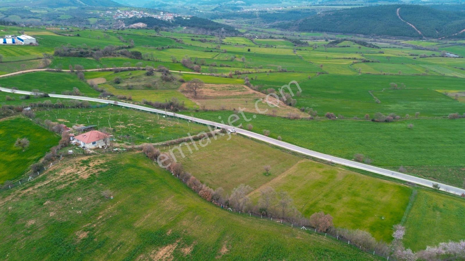 Altıeylül Bayat Köyünde Asvalta Cephe Tarla - Görsel 29