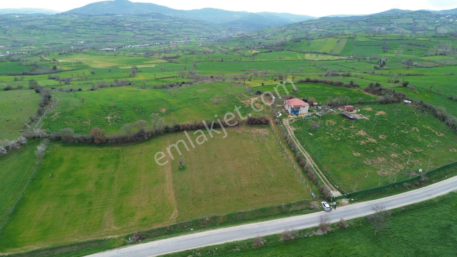 Altıeylül Bayat Köyünde Asvalta Cephe Tarla - Görsel 25