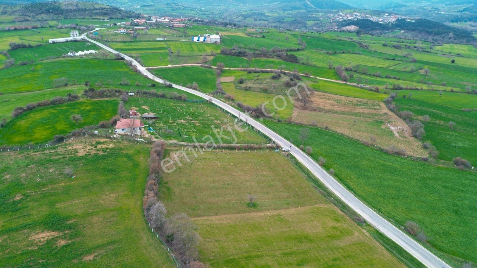 Altıeylül Bayat Köyünde Asvalta Cephe Tarla - Görsel 30