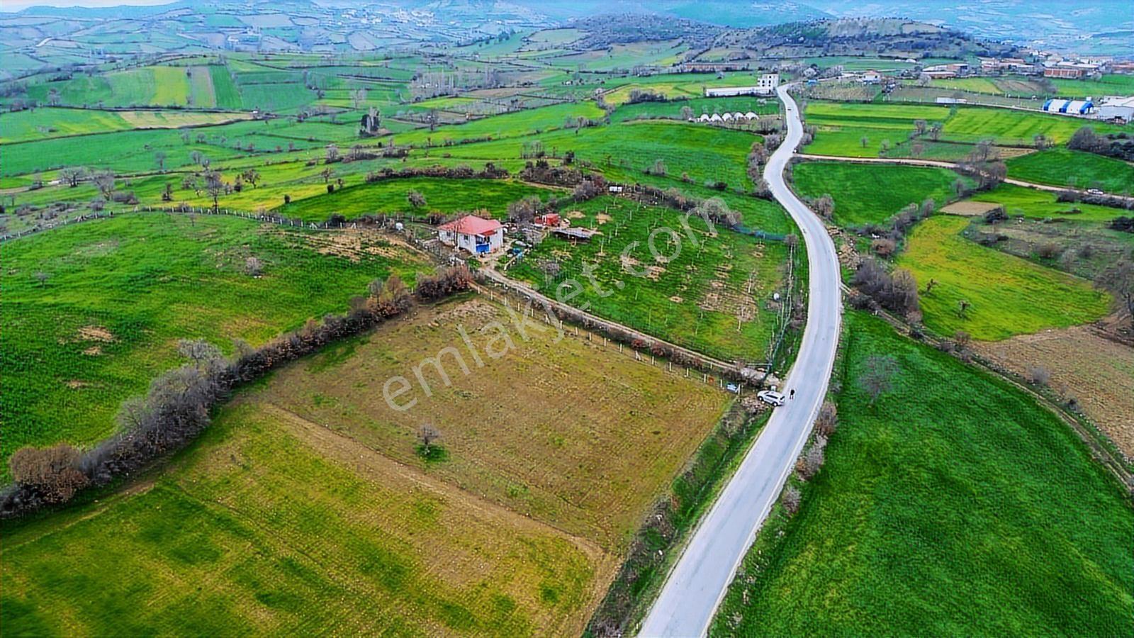 Altıeylül Bayat Köyünde Asvalta Cephe Tarla - Görsel 17