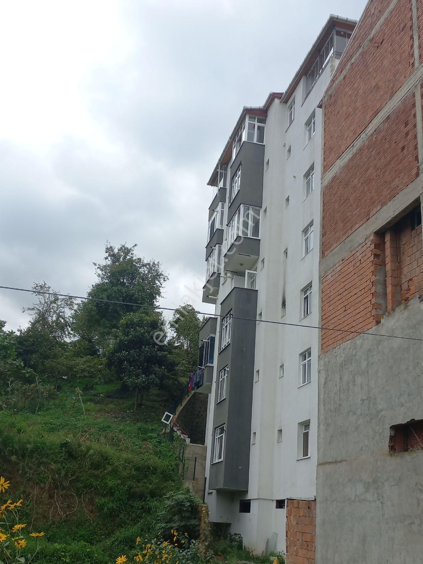 Doğuş Gayrimenkul Arsin Yalı Da Satılık Dublex Daire - Görsel 3