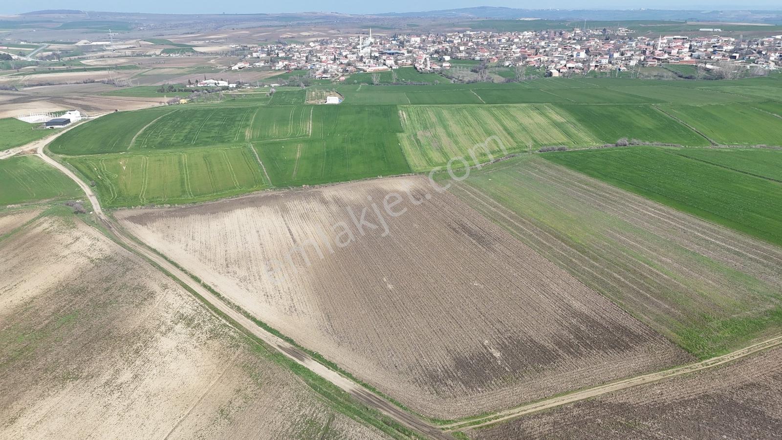 Ege Emlak'tan Beğendik Köyünde Köye Yakın Tarla - Görsel 13