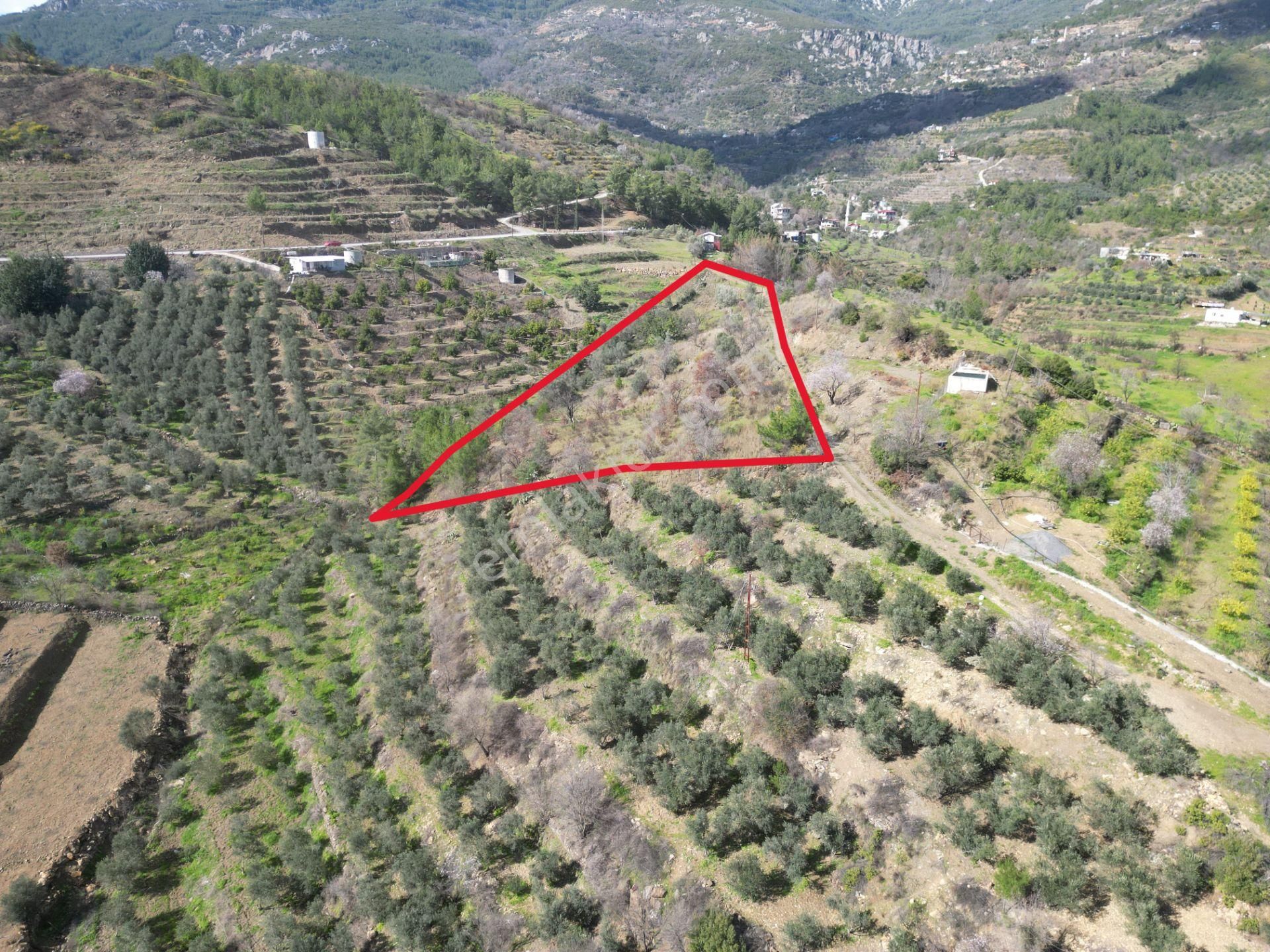 Alanya Şıhlar Mahallesi’nde Satılık 6.900 M² Yola Sıfır Tarla - Görsel 8