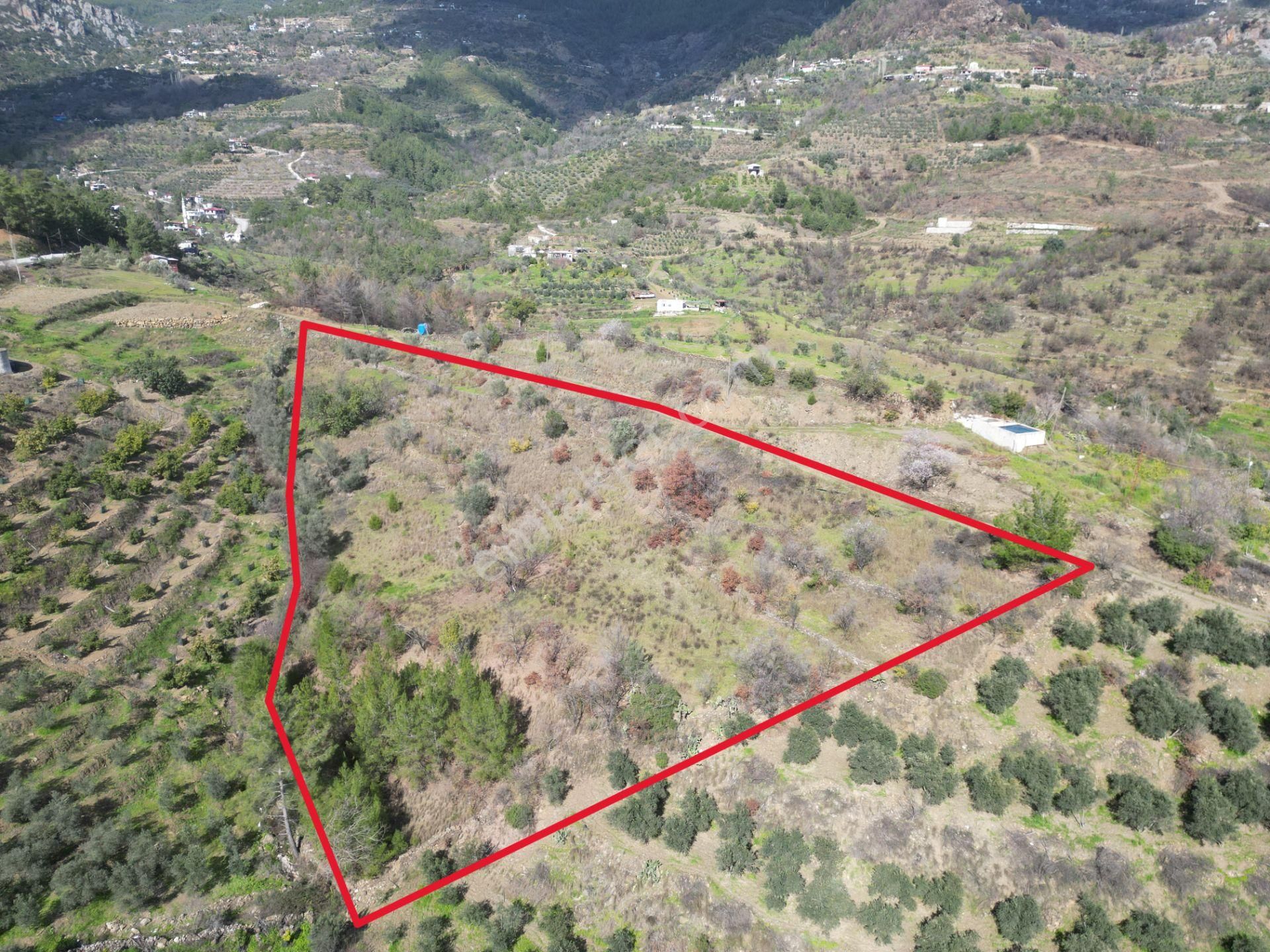 Alanya Şıhlar Mahallesi’nde Satılık 6.900 M² Yola Sıfır Tarla - Görsel 6