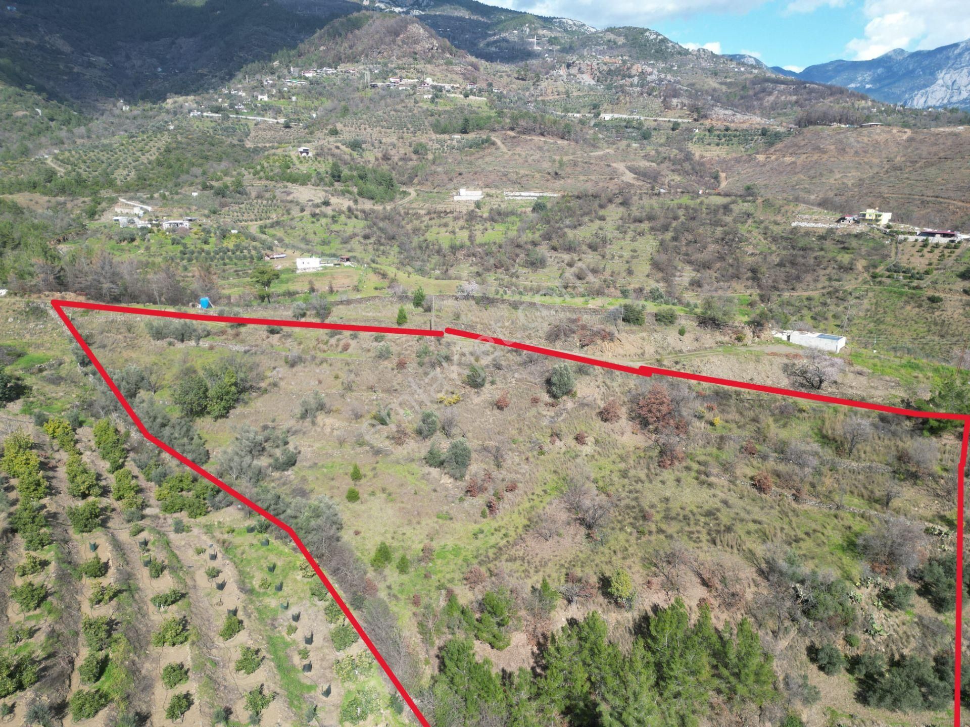 Alanya Şıhlar Mahallesi’nde Satılık 6.900 M² Yola Sıfır Tarla - Görsel 5