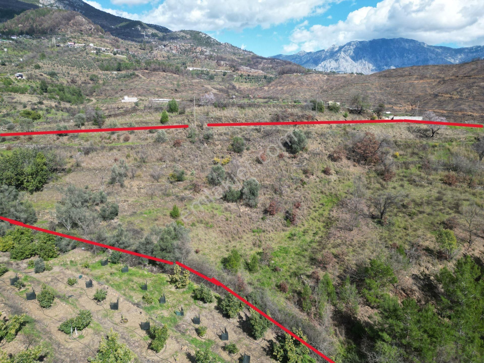 Alanya Şıhlar Mahallesi’nde Satılık 6.900 M² Yola Sıfır Tarla