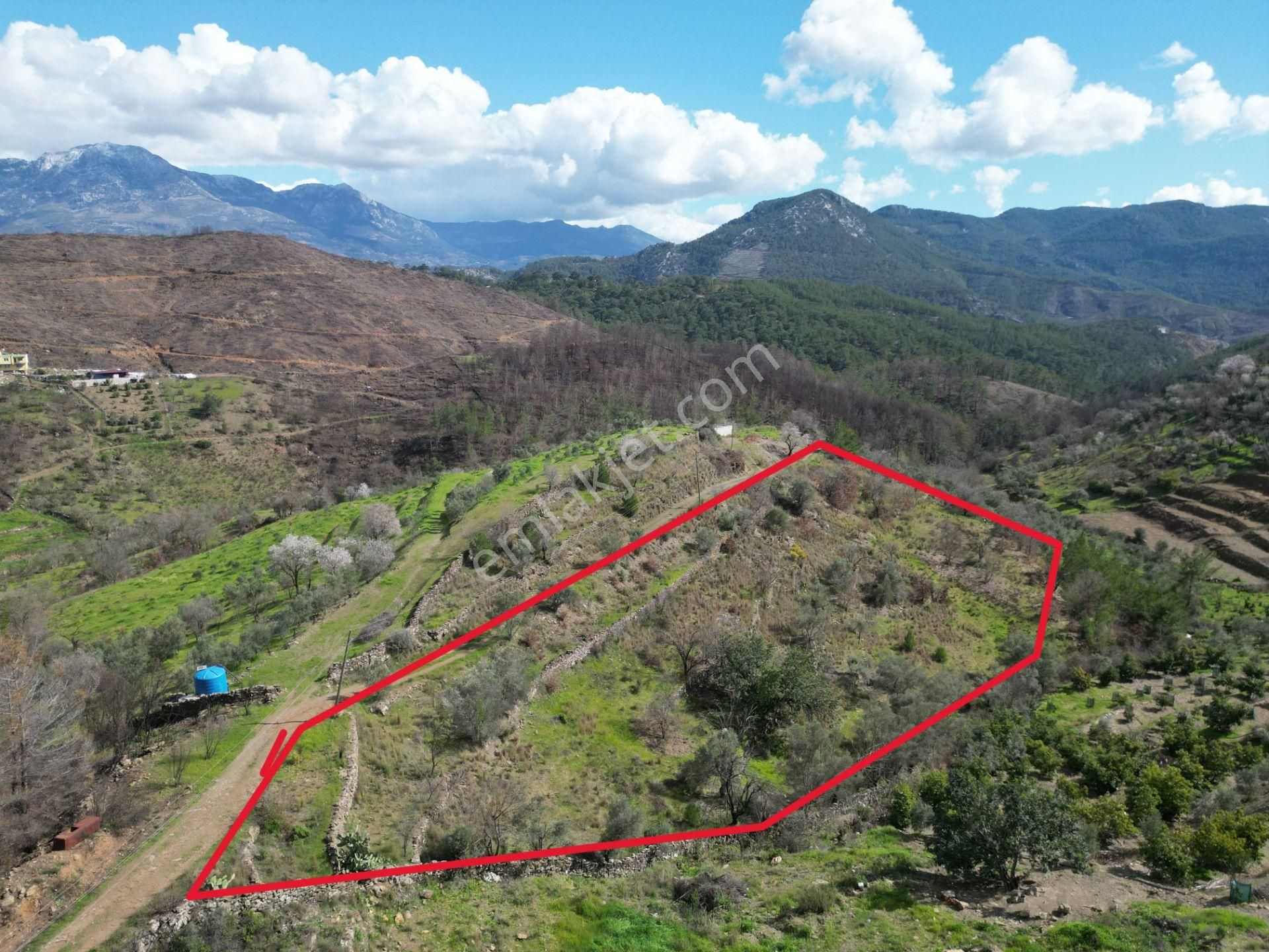 Alanya Şıhlar Mahallesi’nde Satılık 6.900 M² Yola Sıfır Tarla - Görsel 2