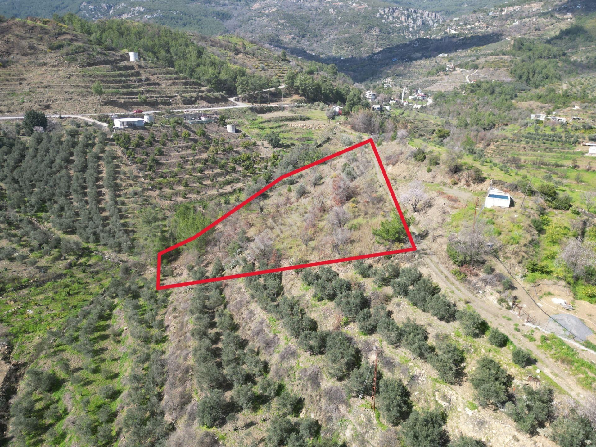 Alanya Şıhlar Mahallesi’nde Satılık 6.900 M² Yola Sıfır Tarla - Görsel 7