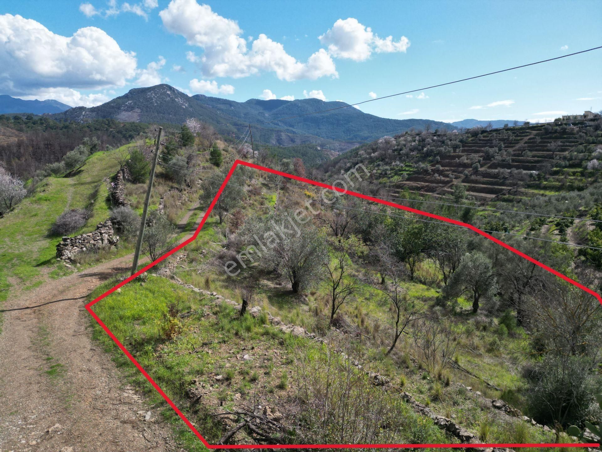 Alanya Şıhlar Mahallesi’nde Satılık 6.900 M² Yola Sıfır Tarla - Görsel 12