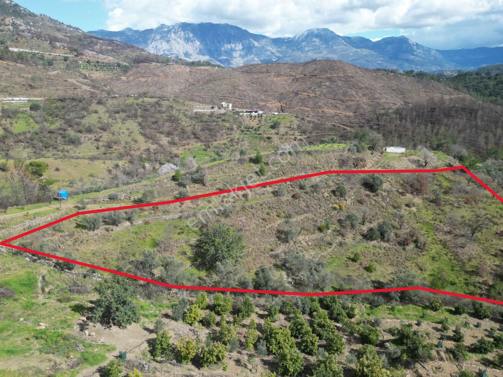 Alanya Şıhlar Mahallesi’nde Satılık 6.900 M² Yola Sıfır Tarla - Görsel 3