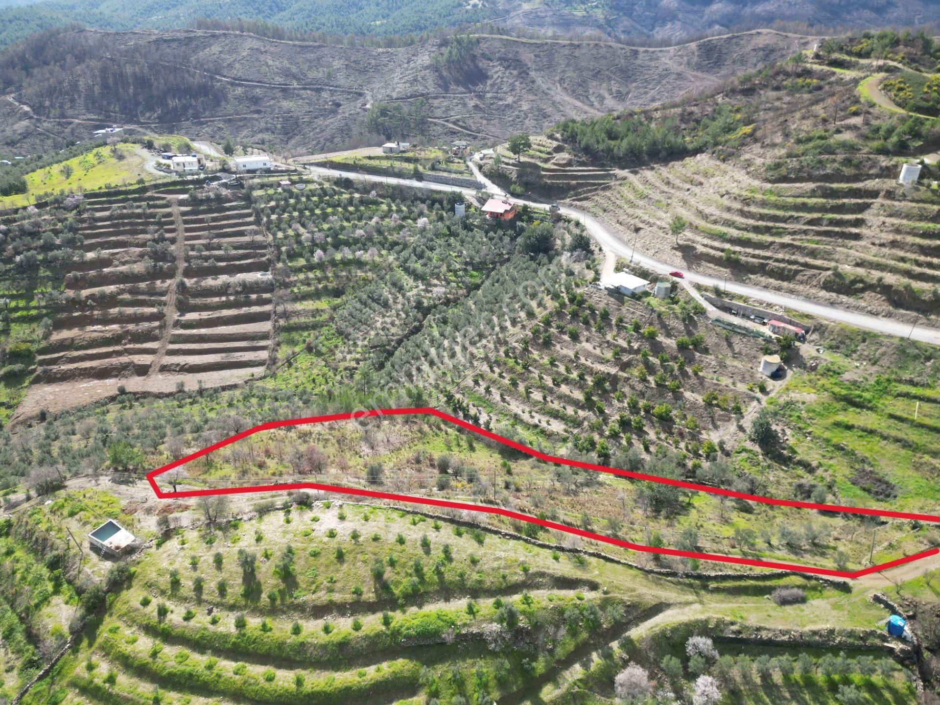 Alanya Şıhlar Mahallesi’nde Satılık 6.900 M² Yola Sıfır Tarla - Görsel 11