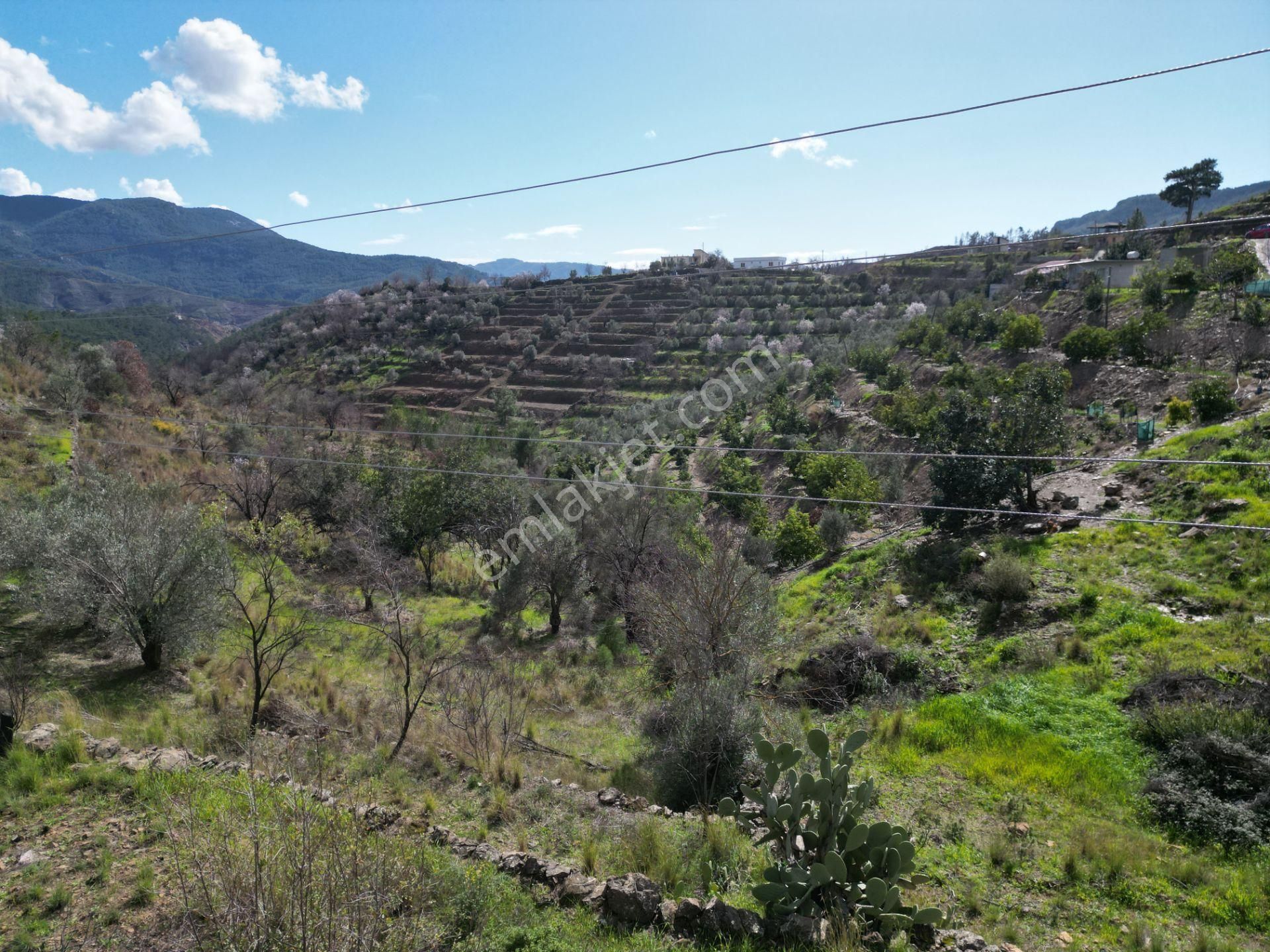 Alanya Şıhlar Mahallesi’nde Satılık 6.900 M² Yola Sıfır Tarla - Görsel 13